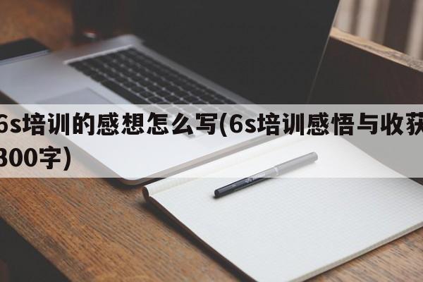 6s培训的感想怎么写(6s培训感悟与收获300字)