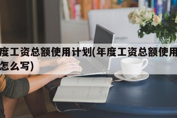 年度工资总额使用计划(年度工资总额使用计划怎么写)