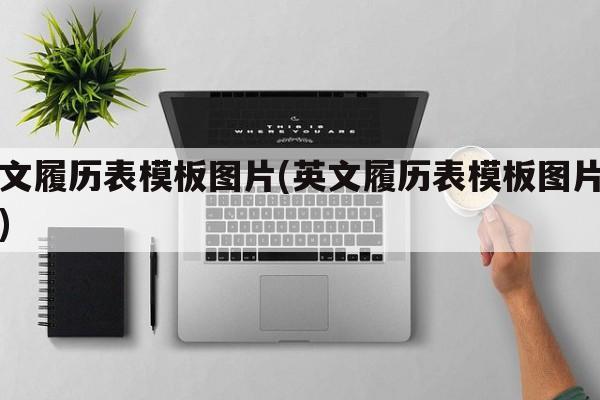 英文履历表模板图片(英文履历表模板图片高清)
