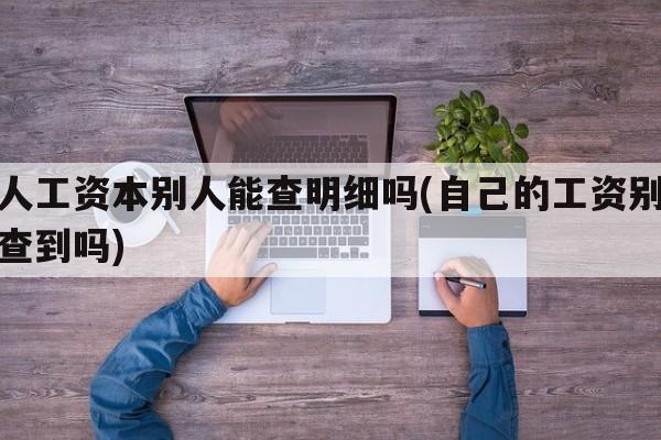 个人工资本别人能查明细吗(自己的工资别人能查到吗)